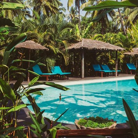 Devarya Wellness Beach Resort 莫尔吉姆 外观 照片