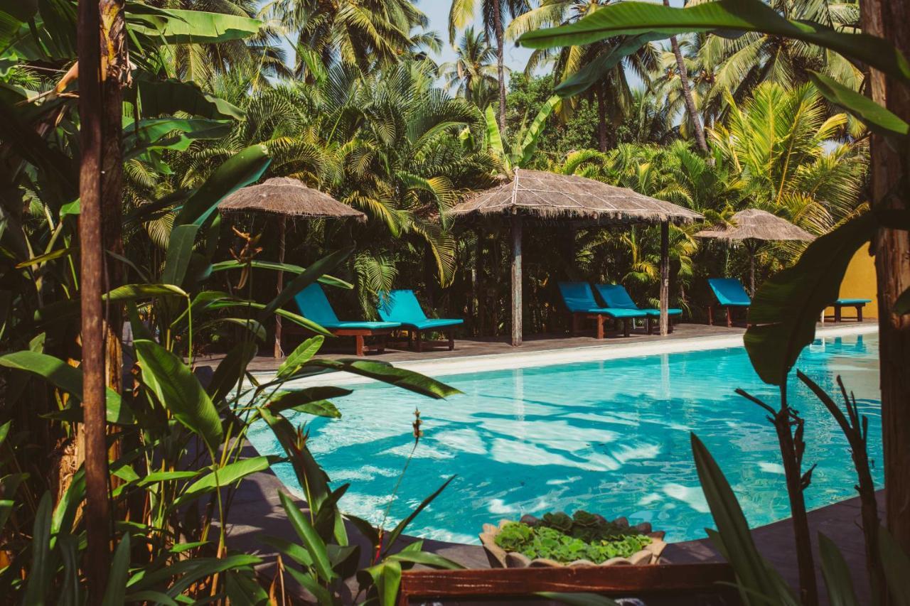 Devarya Wellness Beach Resort 莫尔吉姆 外观 照片