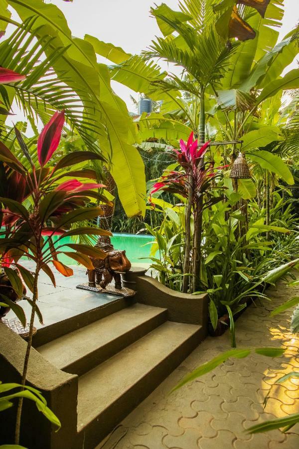 Devarya Wellness Beach Resort 莫尔吉姆 外观 照片